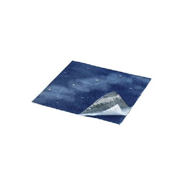 Acticoat 3 Day Silver Dressing 10x20cm