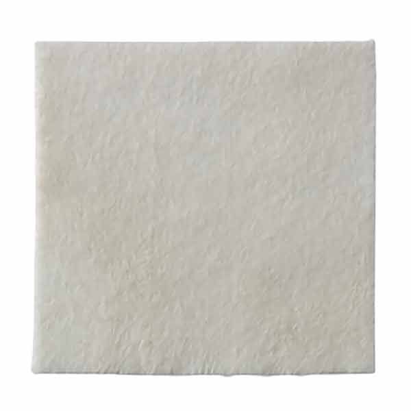 Biatain Alginate Silver 10x10cm