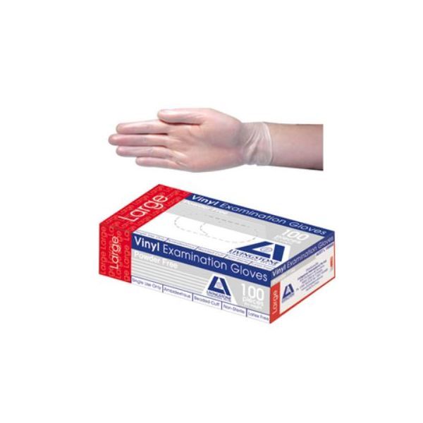 Livingstone Gloves Vinyl powder free Large Pk100